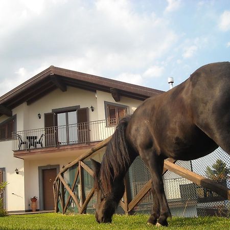 Bed and Breakfast Aurora Dell'Etna Zafferana Etnea Zewnętrze zdjęcie