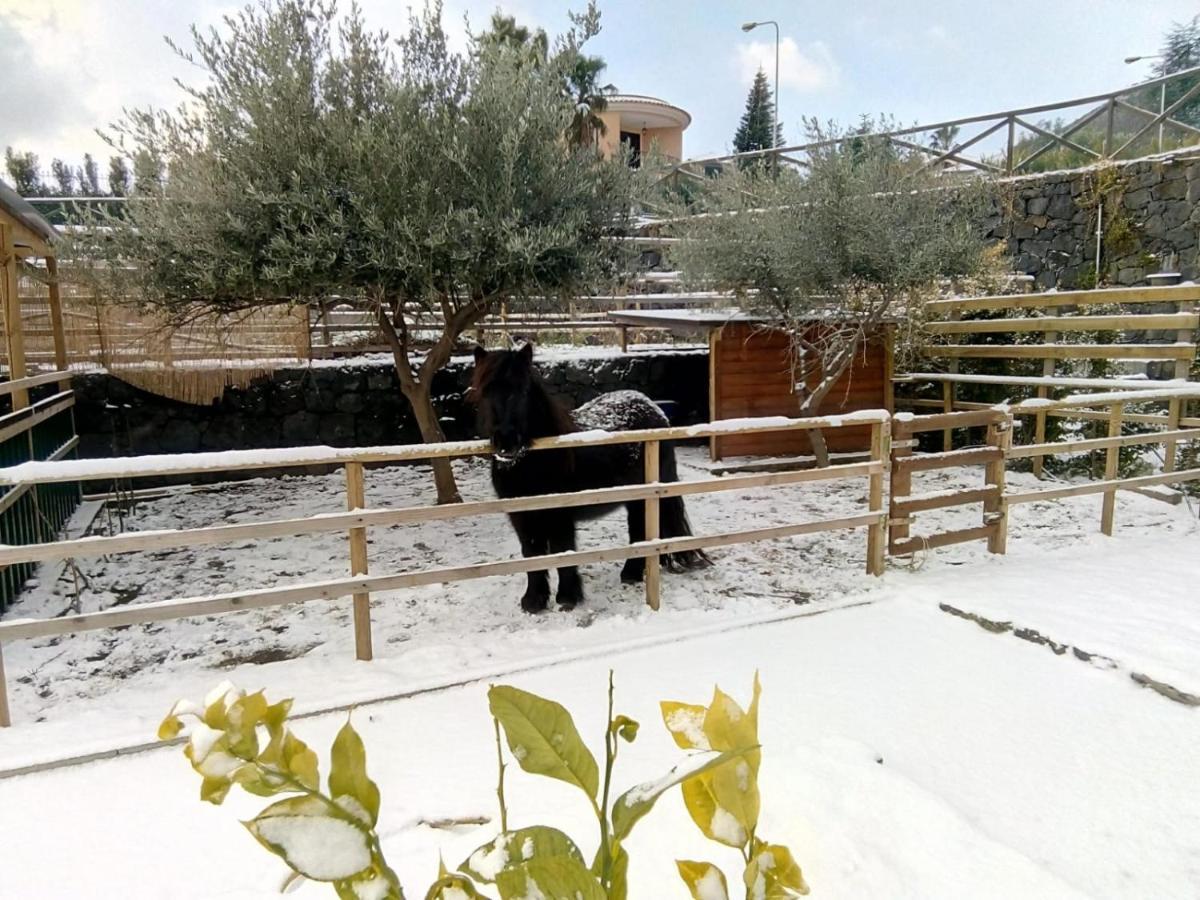 Bed and Breakfast Aurora Dell'Etna Zafferana Etnea Zewnętrze zdjęcie