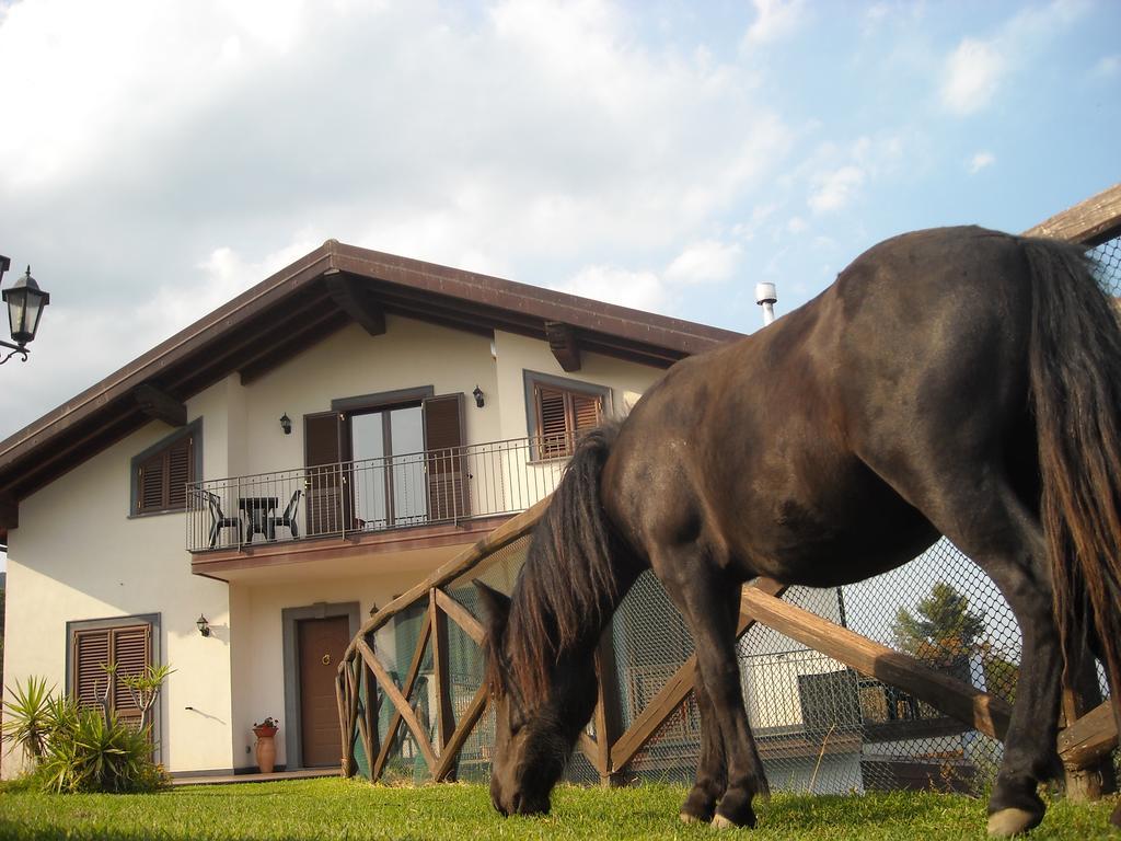 Bed and Breakfast Aurora Dell'Etna Zafferana Etnea Zewnętrze zdjęcie